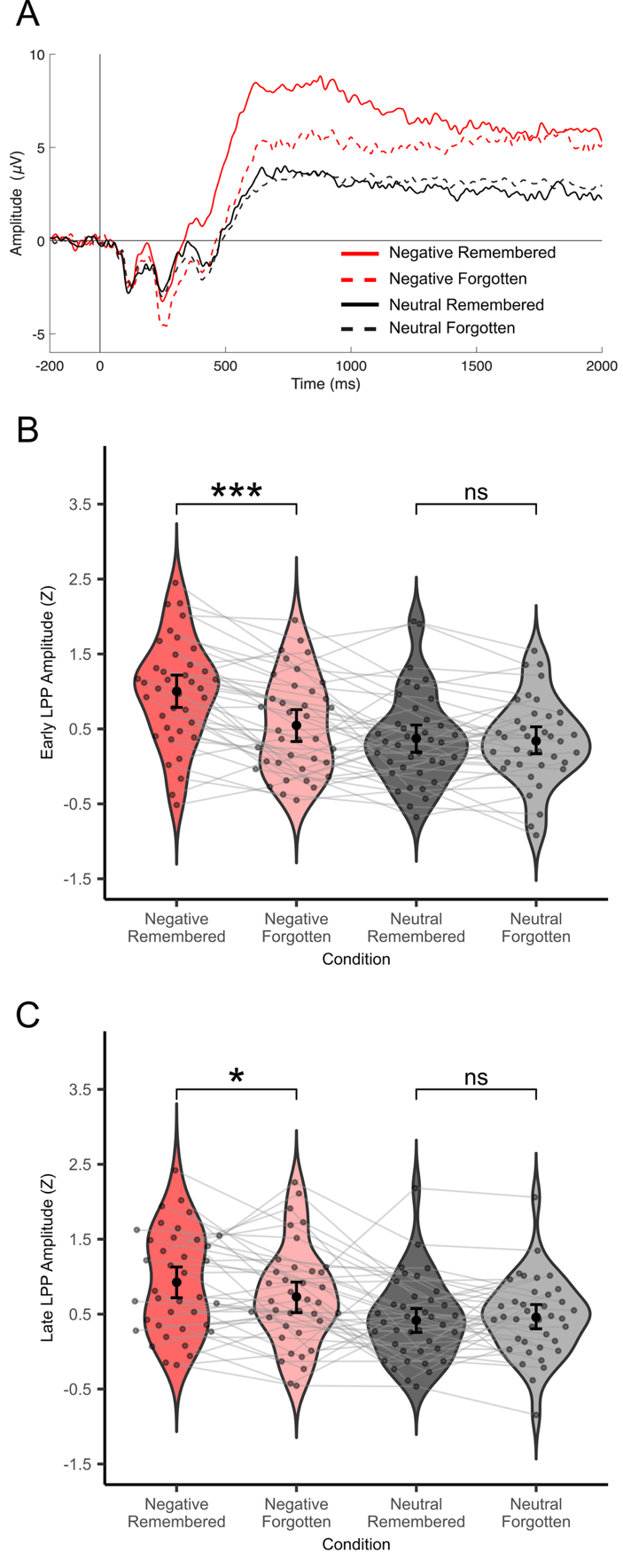 Three panels show focal ERP results: event-related potentials and Early and Late LPP amplitudes by category and subsequent memory.